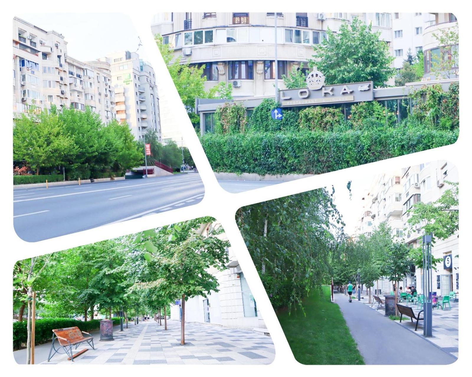 Central Apartament Bulevardul Decebal Βουκουρέστι Εξωτερικό φωτογραφία
